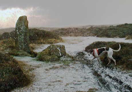 Blue at the Nine Maidens
