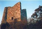1998.jpg